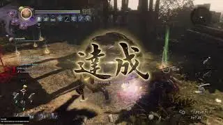 Nioh 2 - Carrying an afk invoker
