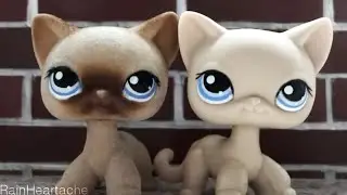 LPS: УДАЛЯЕМ БАРХАТ С БАРХАТНОЙ СТОЯЧКИ [Эксперимент#2]