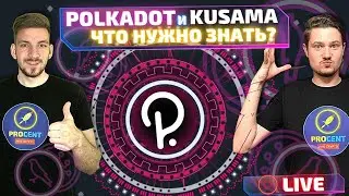 Polkadot и Kusama - все, что нужно знать! | Аукцион парачейнов | В какие проекты нести?