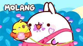 Molang - The Berries 🌸 Cartoon for kids Kedoo Toons TV