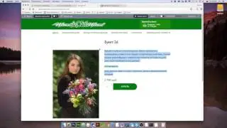Магазин на Битрикс #18: Базовая поисковая оптимизация