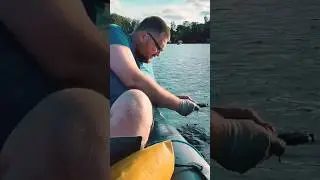 артефакты на поисковый магнит 