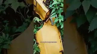 Честный продавец 