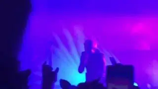 Halsey 