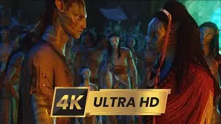 Моя чаша пустая | Аватар  (2009) 4k