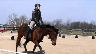 Deanna & Sissy Training Level Test 2 - Champagne Run Feb 7th 2016