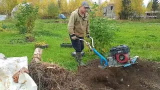 КАК Я КОРЧЕВАЛ ПЕНЬ И ПЕРЕПАХИВАЛ ЗЕМЛЮ ПОД ГРЯДКИ НА СВОЁМ УЧАСТКЕ