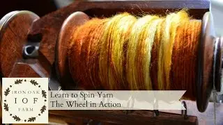 Learn to Spin Yarn The Wheel in Action