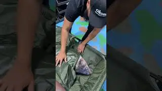Обзор на карповый мат!