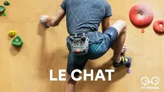 YY I CHAT I FR