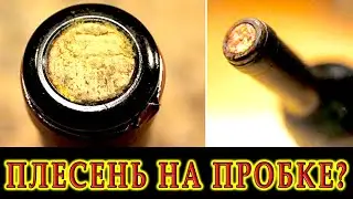 Плесень на винных пробках | Что делать! | Ответы на вопросы подписчиков