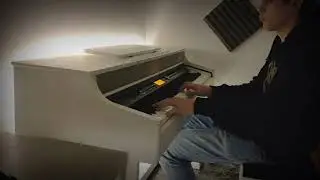 Thomann DP-95 (Elegy for the Artic - Ludovico Einaudi)