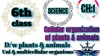 Class:6th,Sub:Sci,Ch:1,Topic:D/w plant & animal cell,Uni & multicellular organisms,Cell form tissue