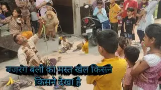 बजरंग बली का अनोखा खेल किसने किसने देखा है 🤪 #बजरंगबली #monkey 