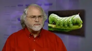 Biochemistry Faculty Profile I Mike Kanost