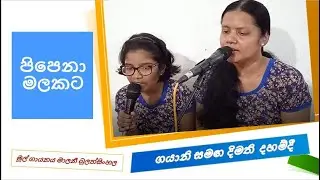 පිපෙනා මලකට 🌼🏵️💮