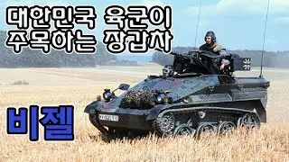 비젤(Wiesel)