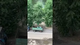 Механизированная работа на тракторе #россия #мтз #техника #работа #мтз80 #мтз82 #подмосковье