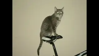 Часть меня