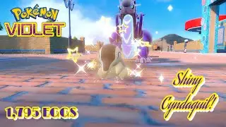 ✨Pokémon Violet: SHINY CYNDAQUIL VIA THE MASUDA METHOD! (1,795 EGGS)✨