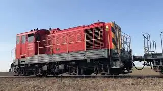 Kárpát Bobó csattog Kardoskút közelében