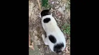 terpantau mau kabar
