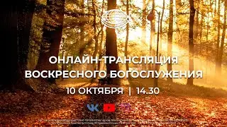 LIVE. Церковь 