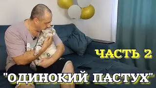▶️Реакция кота на композицию Одинокий пастух. Часть 2.