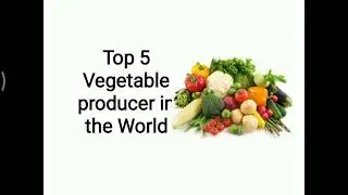 Top 5 vegetable producer in the world