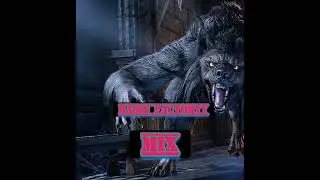o plomo Remix