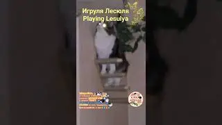 Игруля Лесюля. Playing Lesulya.