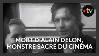 Alain Delon est mort à 88 ans, l'acteur et le Festival de Cannes : je t'aime... moi non plus