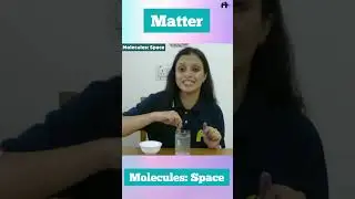 Matter ICSE Class 6 Chapter 1 #shorts