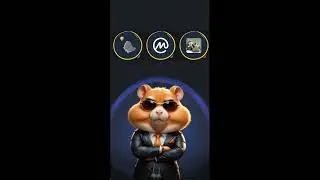 Новое комбо HAMSTER KOMBAT 4 июня 2024