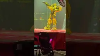 Bumblebee 🐝 #transformers #bumblebee