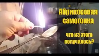 Самогон из абрикос / сколько абрикосовки получилось из ведра абрикос!