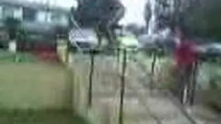 ostia gerardo cabra (cordoba)