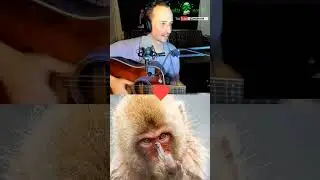#гитара