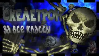 СКЕЛЕТРОН ЭКСПЕРТ ГАЙД [Все классы] КАК ПРИЗВАТЬ. КАК УБИТЬ. {TERRARIA  1.4}