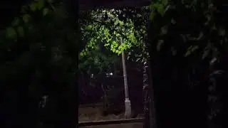 23 MAY   TOSHKETDA  BOʻLGAN YOMGʻIRDAN  LAVHA