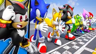 Sonic and Shadow Race EVERYONE!!
