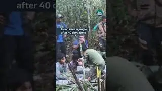 Four kids survive 40 days in jungle after plane crash 