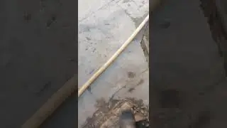 В погребе вода, в подполе вода...