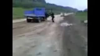 Медведь   дагонит и съест