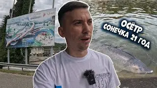 Сочи Адлер Экскурсия Форелевое хозяйство 