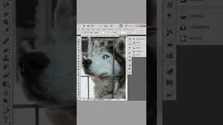 How to remove fences in photoshop #shorts #photoshop #tutorial