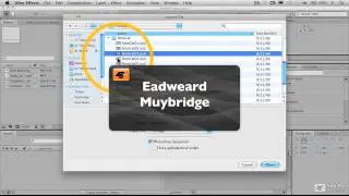 3. The Project Window and File Import - After Effects CS5 101: Core After Effects CS5