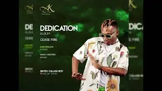Cease Fire by Sintex (Official Audio)