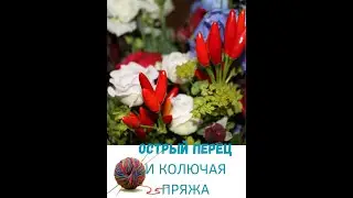 ПРО ОСТРЫЙ ПЕРЕЦ И КОЛЮЧУЮ ПРЯЖУ
