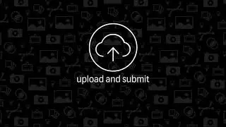 Introducing the Shutterstock Contributor app for iOS and Android and iOS